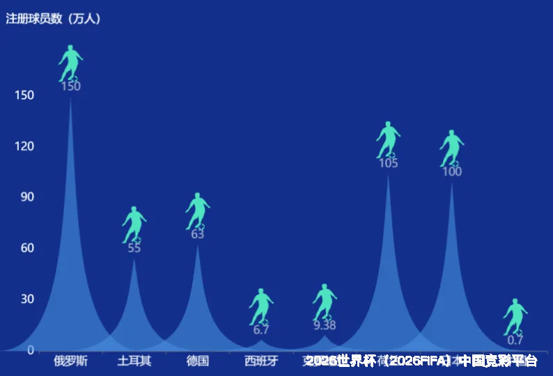 使用方法与注意事项